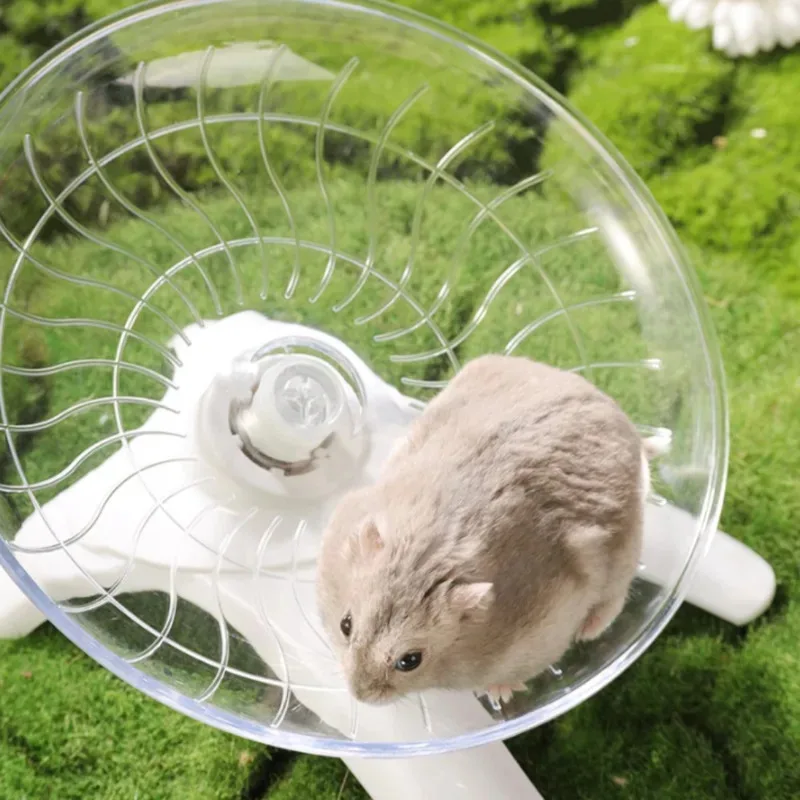 Roda de Corrida para Hamster Transparente Silenciosa para Gaiola - Image 2
