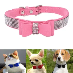 coleira de veludo para cães com strass