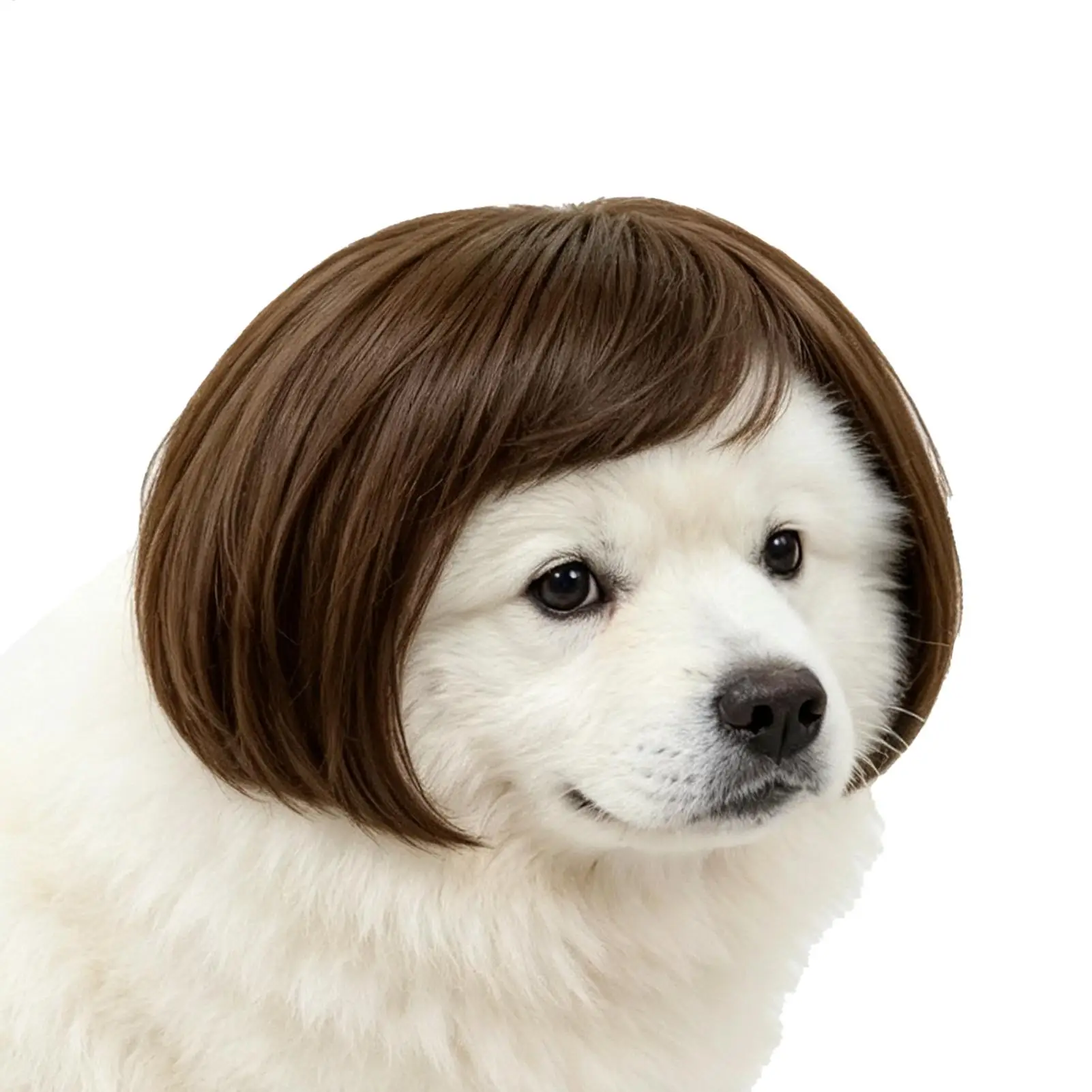 Peruca para Cães e Gatos Estilo Bob com Ajuste Flexível - Image 3