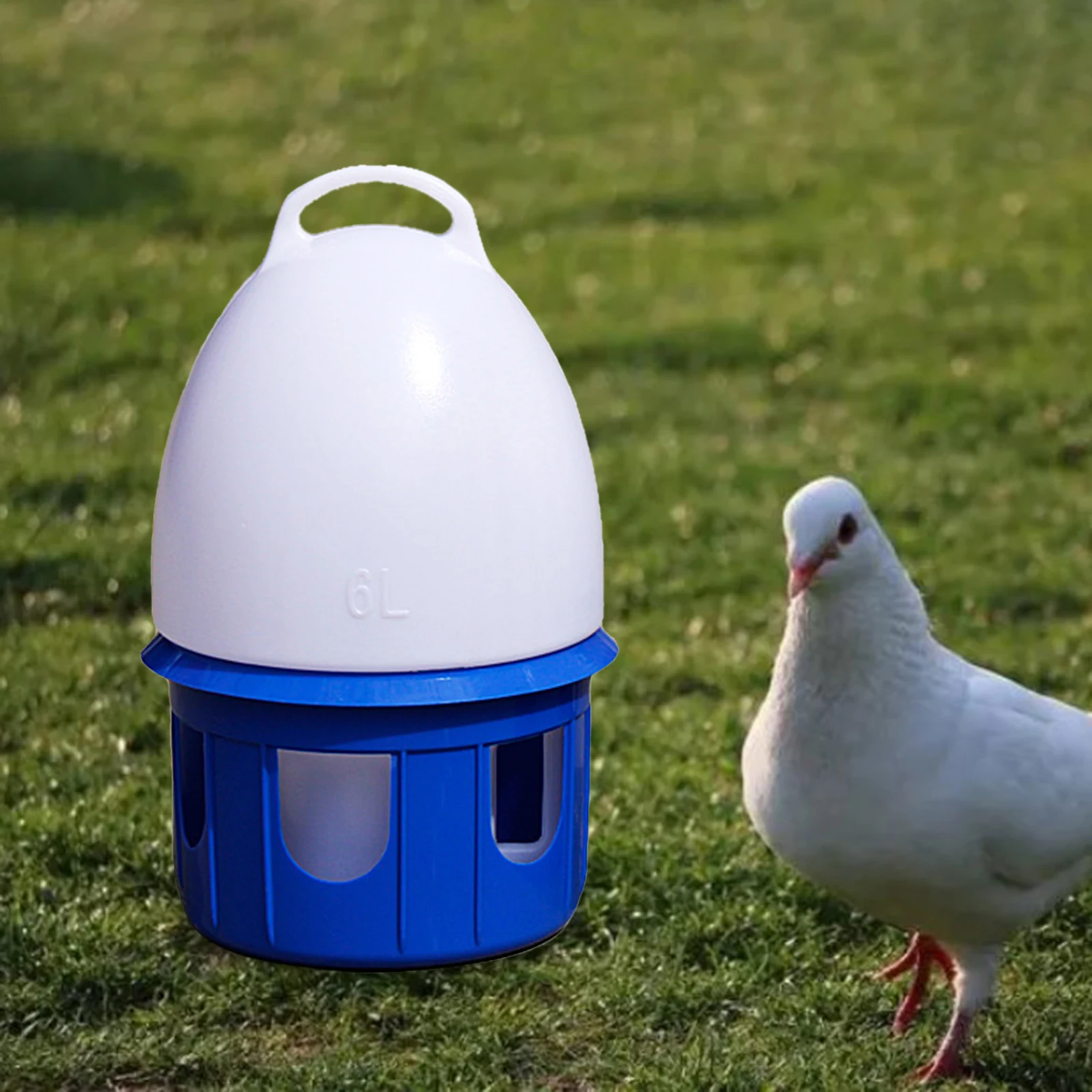 Bebedouro para Pássaros e Aves com Alça e Encaixe na Gaiola - Imagem 4