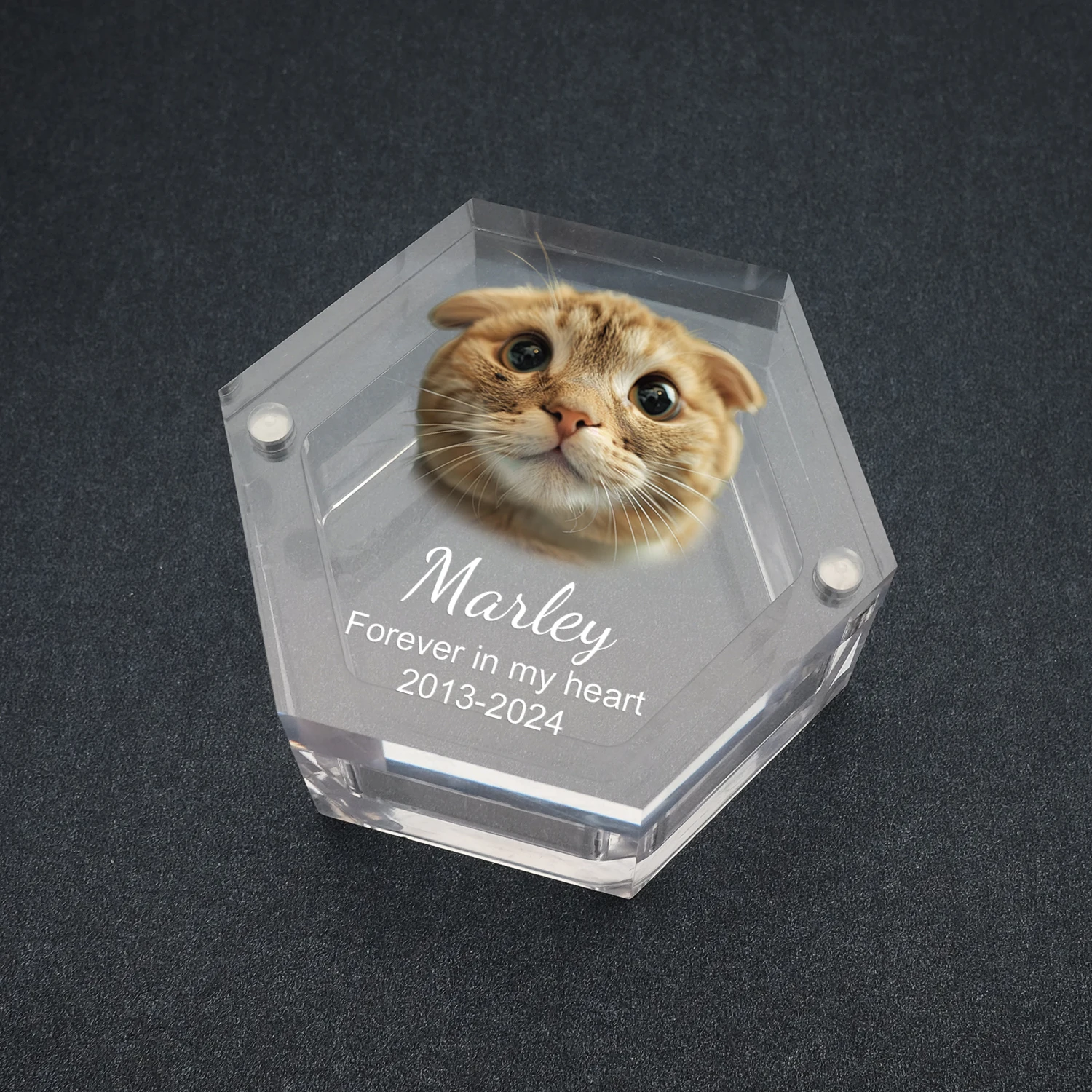 Caixa de Lembrança Hexagonal para Pets com Foto Personalizada 74mm - Image 2