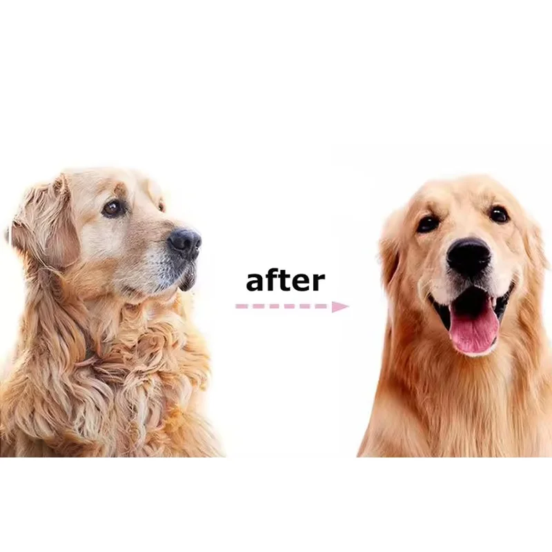 Escova para Cães e Gatos de 2 Lados para Remover Pelos Soltos - Imagem 3