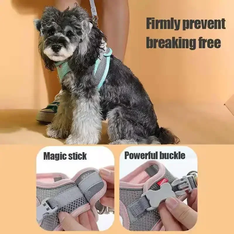 Coleira Peitoral para Cães e Gatos Pequenos com Faixa Refletiva - Imagem 3