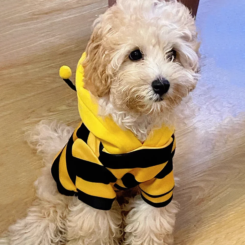 Roupa de Abelha para Cães e Gatos Pequenos e Médios Fácil de Usar - Imagem 4