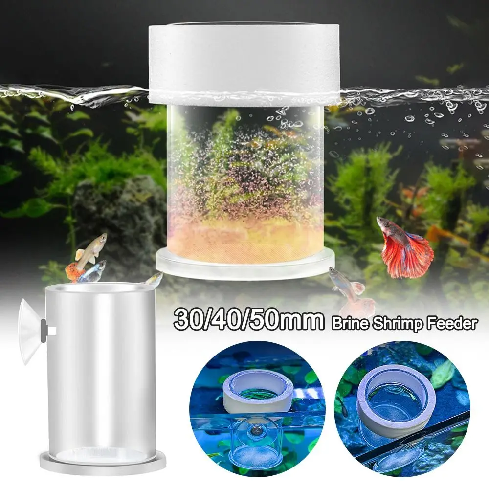 Alimentador de Camarão de Salmoura para Aquário com Ventosa Transparente - Imagem 3
