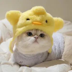 chapéu de pelúcia para gatos