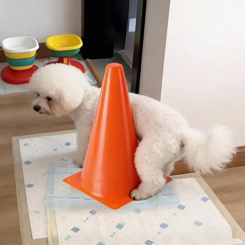 Sanitário Canino para Cães Lavável e Reutilizável - Imagem 2