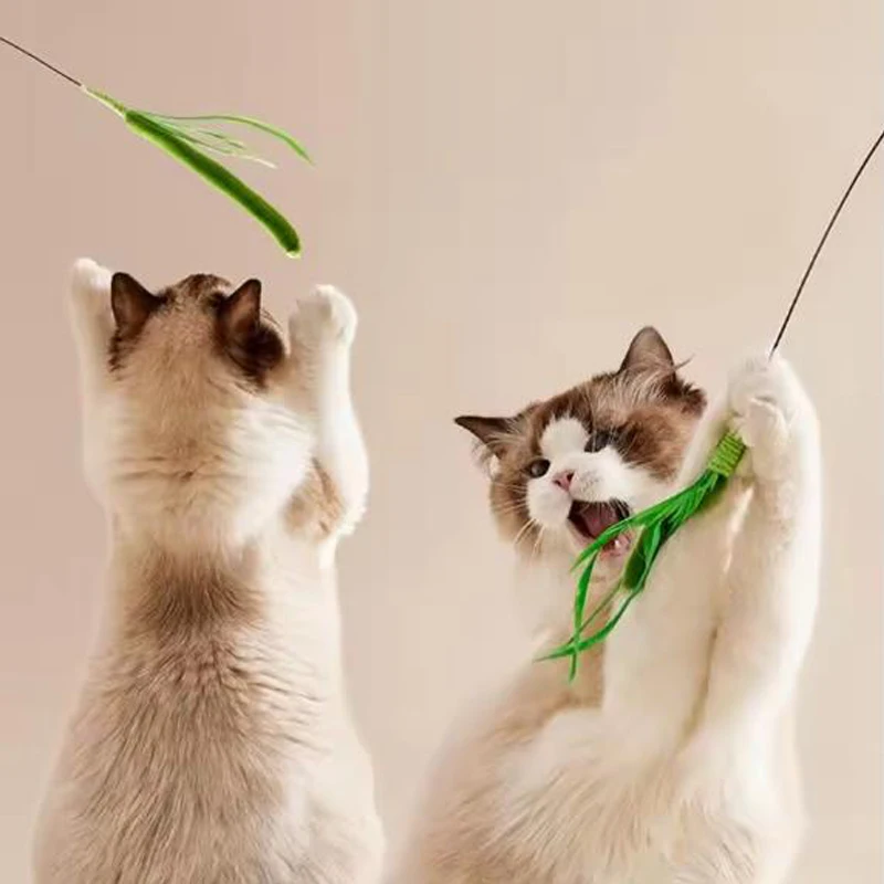 Brinquedo Varinha para Gatos Pluma e Arame Flexível - Image 5