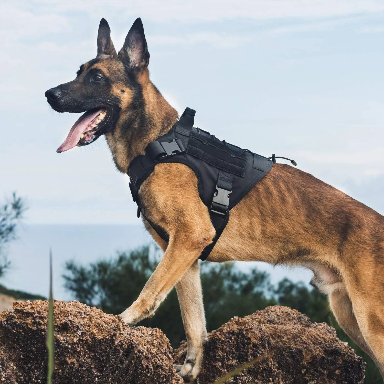 Arnês Tático para Cães com Alça Ajustável para Passeio - Imagem 3