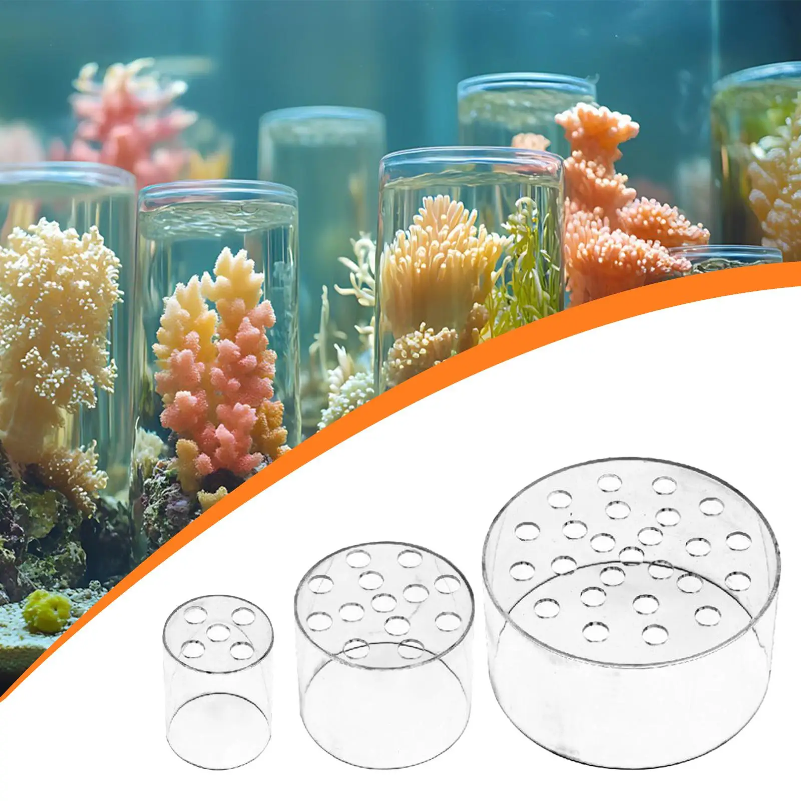 Capa de Alimentador para Coral de Acrílico Transparente - Imagem 4