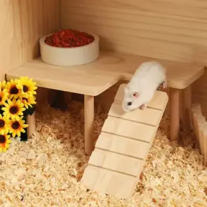 escada de madeira para hamster