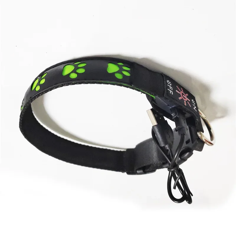 Coleira Luminosa para Cães com Pata e Luz Antiperda - Imagem 5