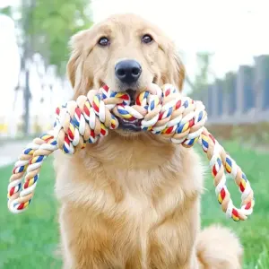 brinquedo de corda para cães