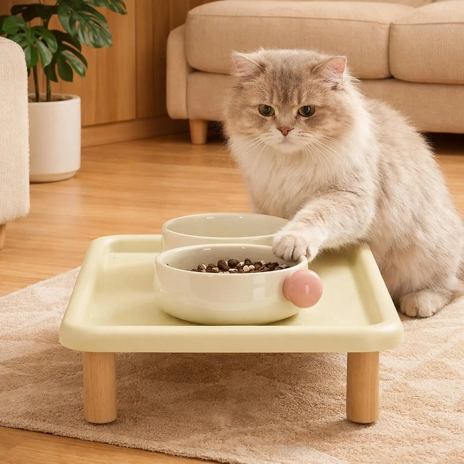 plataforma elevada para comedouro de gatos