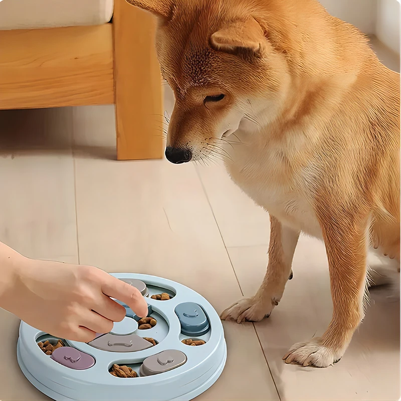 comedouro interativo para cães de pp