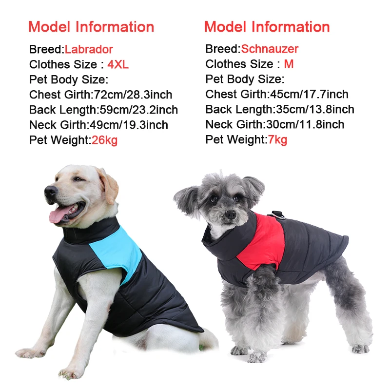 Casaco Impermeável para Cães com Anel D para Passeio - Image 4