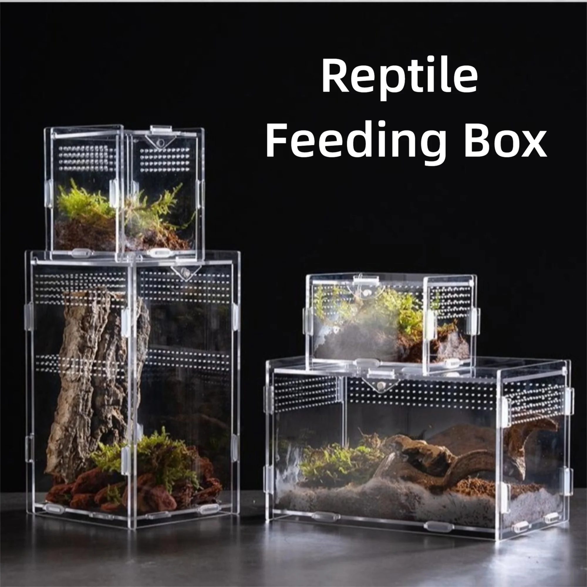Habitat de Acrílico para Répteis e Aracnídeos Transparente Anti-Fuga - Imagem 3