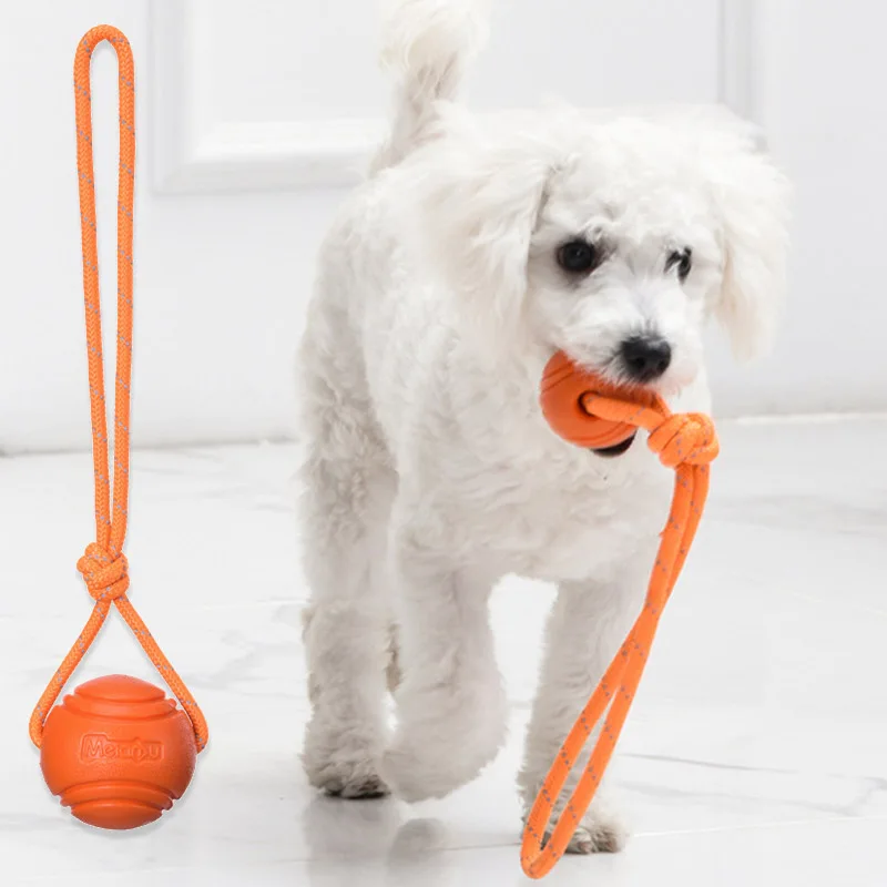 Bola de Treinamento para Cães com Corda de Algodão Durável - Imagem 2