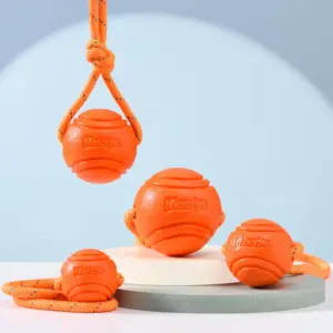 bola de treinamento para cães com corda