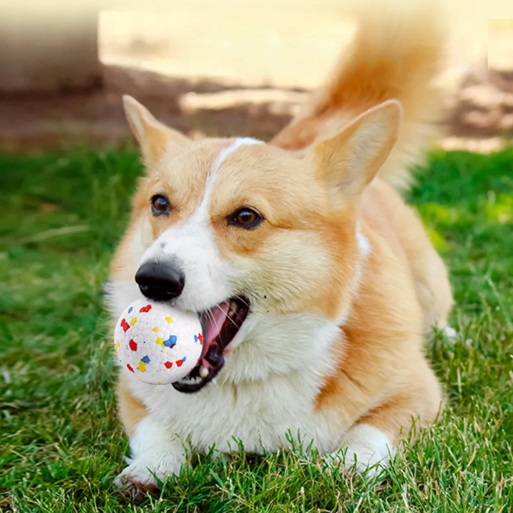 Bola EPTU para Cães de Porte Médio Resistente a Mordidas - Imagem 4