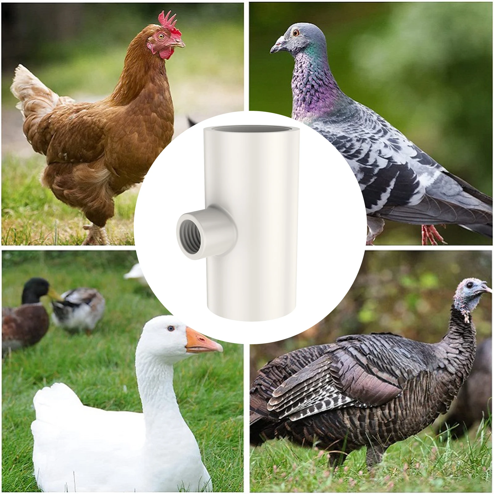 Bebedouro Automático para Aves PVC com 25 Conexões Tee - Imagem 5
