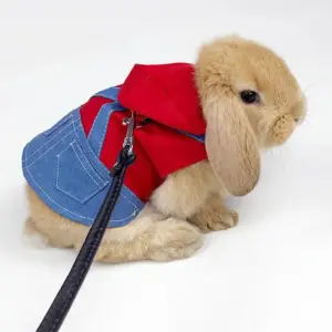coleira e arnês para animais pequenos