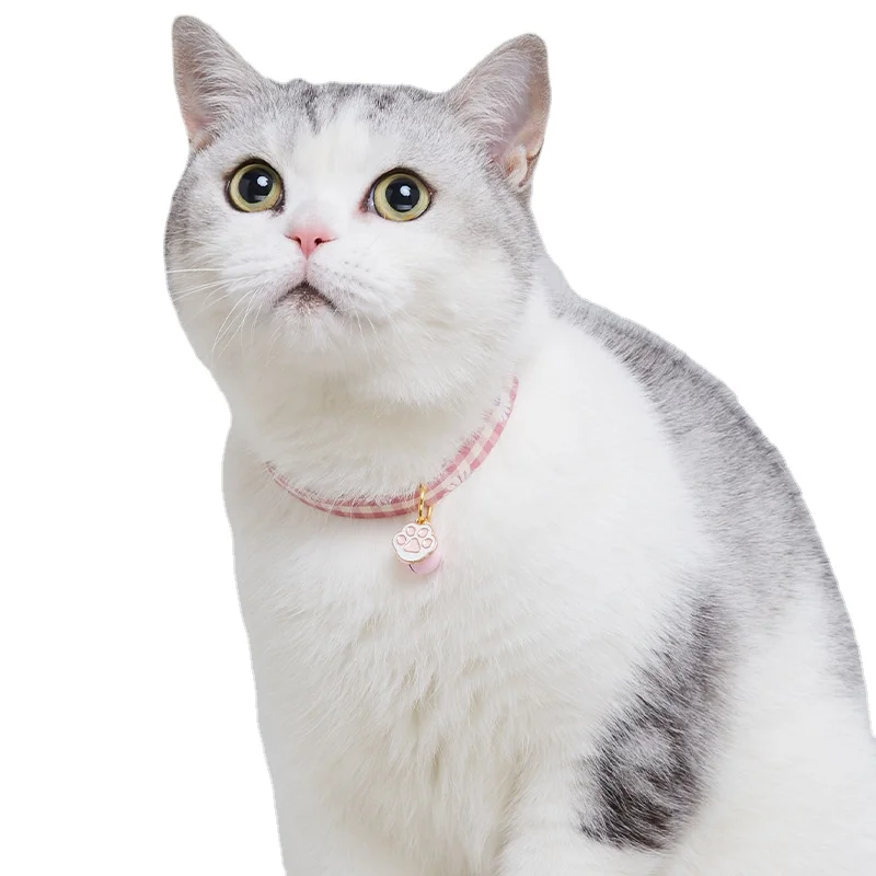 Coleira de Gato Roxo com Sino e Pingente de Abacate - Imagem 3