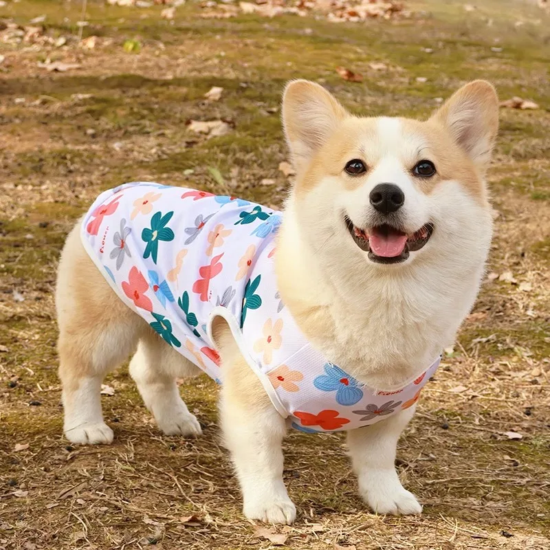Colete Refrescante para Cães de Poliéster com Desenho Animado - Image 3