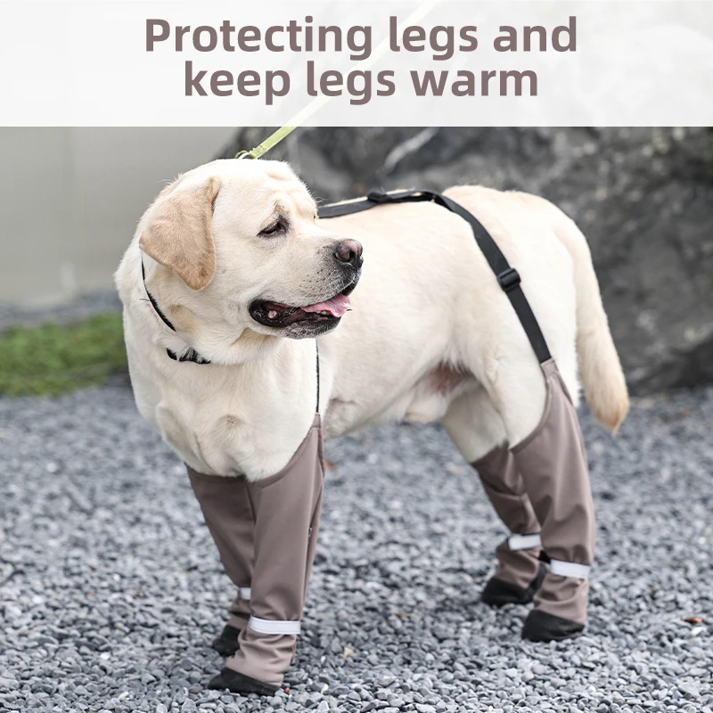 Botas Impermeáveis para Cães Antiderrapantes com Tira Anti-Desprendimento - Imagem 2