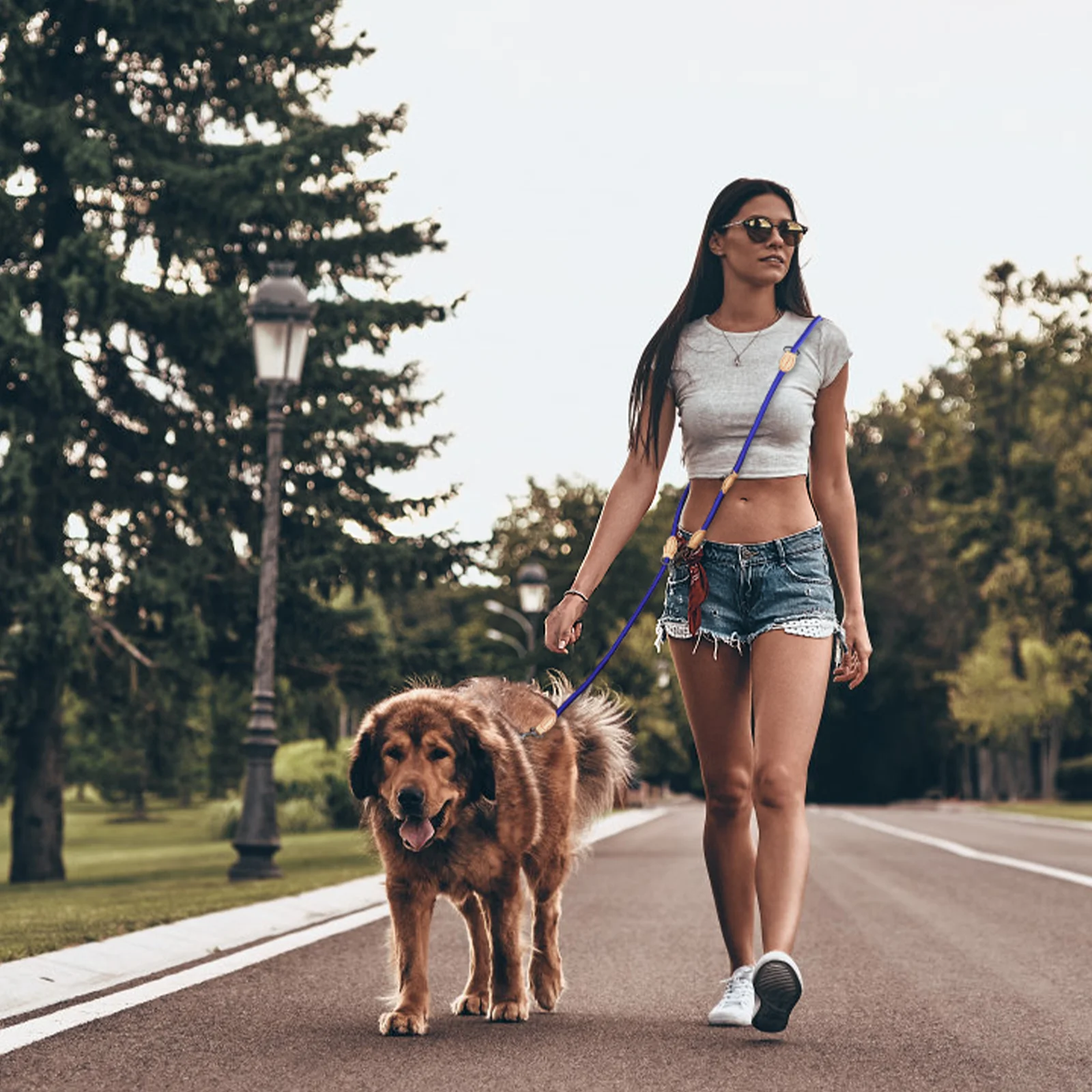 Coleira Dupla de Nylon para Cães de Porte Médio e Pequeno 210cm - Image 6