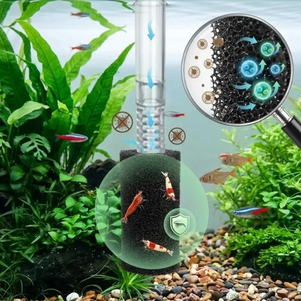 Kit 5 Esponjas Filtrantes para Aquário: Pré-filtro para Água Limpa - Imagem 5