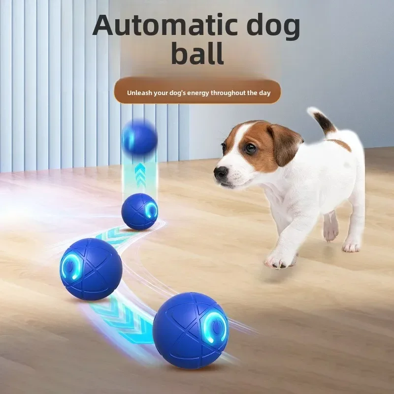 bola interativa para cães
