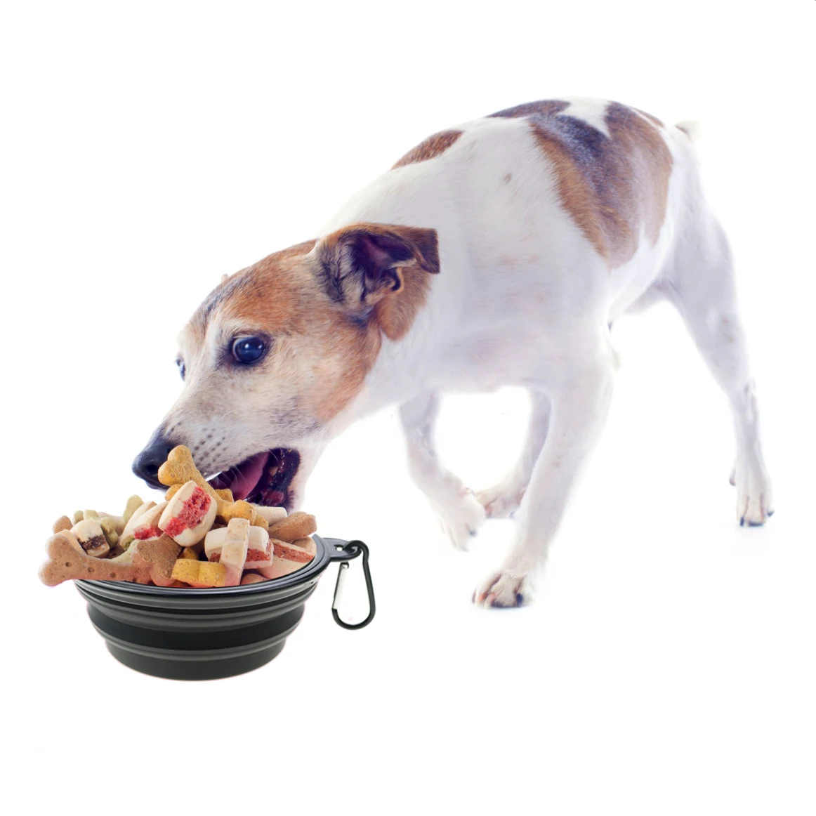 Tigela Dobrável para Cães de Silicone 350 ml para Viagem - Imagem 6