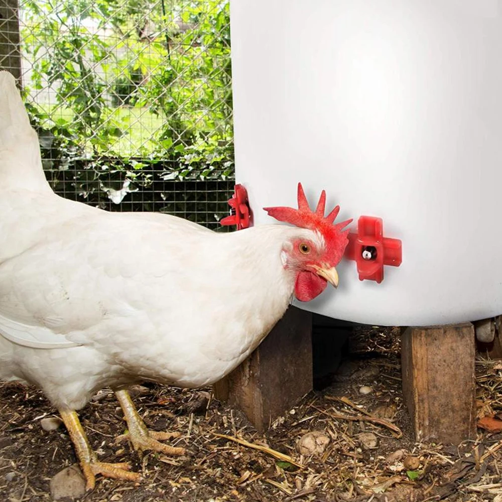 Bebedouro Automático para Aves 12 Peças de Plástico e Aço Inox - Imagem 2