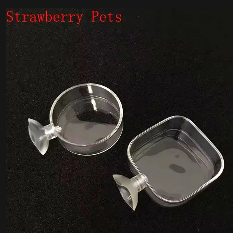 Alimentador para Camarão de Aquário em Vidro Transparente Circular 6 cm - Imagem 6