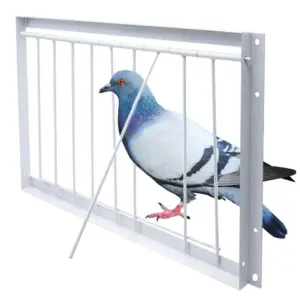 porta de loft para pombos removível
