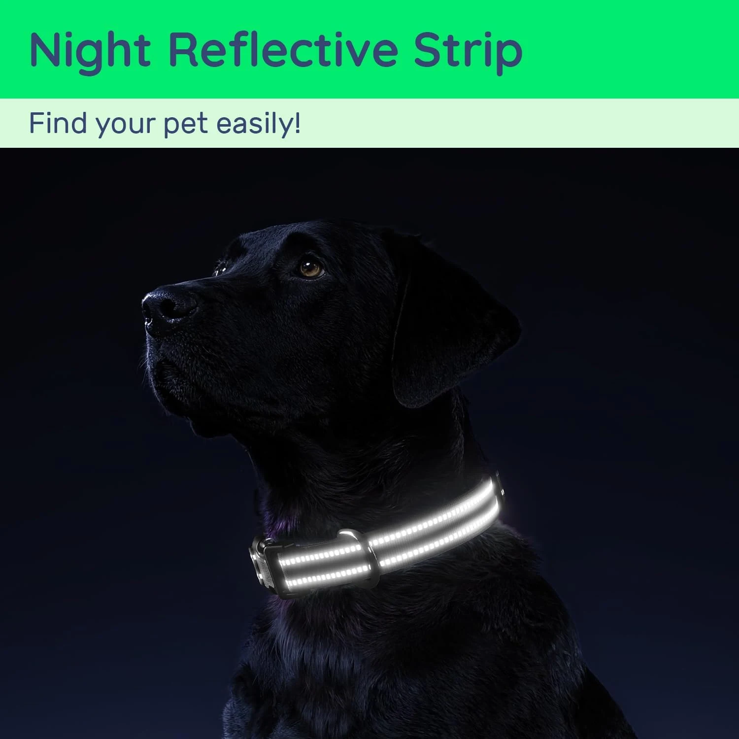 Coleira para Cães com Suporte AirTag e Faixa Refletiva - Imagem 4