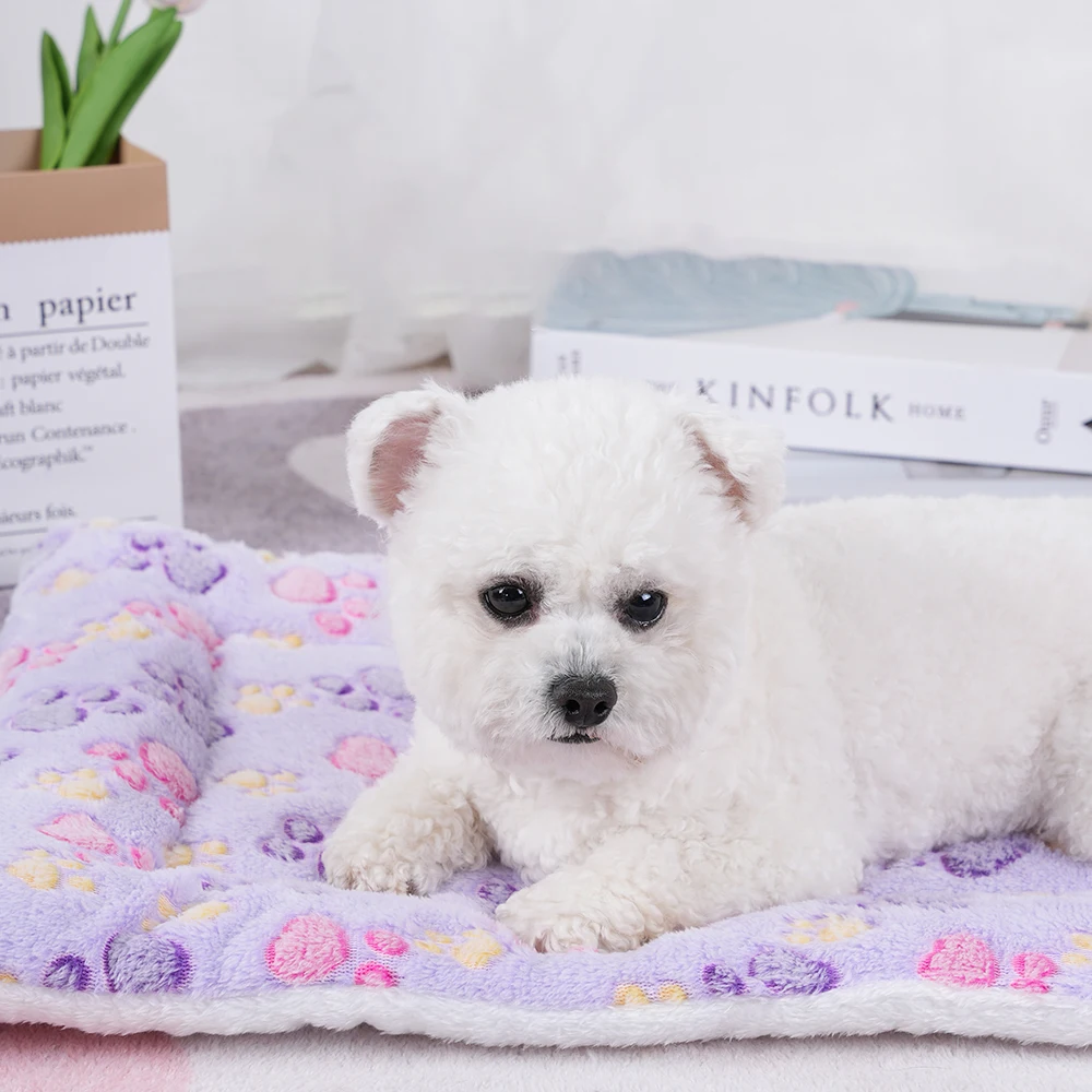 Cama de Flanela para Cães Lavável com Cores Variadas - Image 4