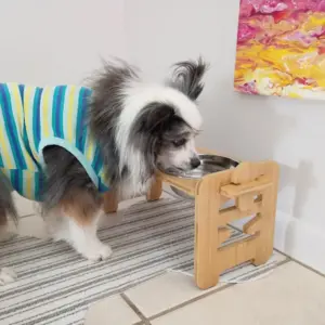 suporte ajustável para tigelas de cães e gatos