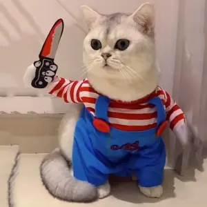 fantasia halloween para gatos e cães pequenos