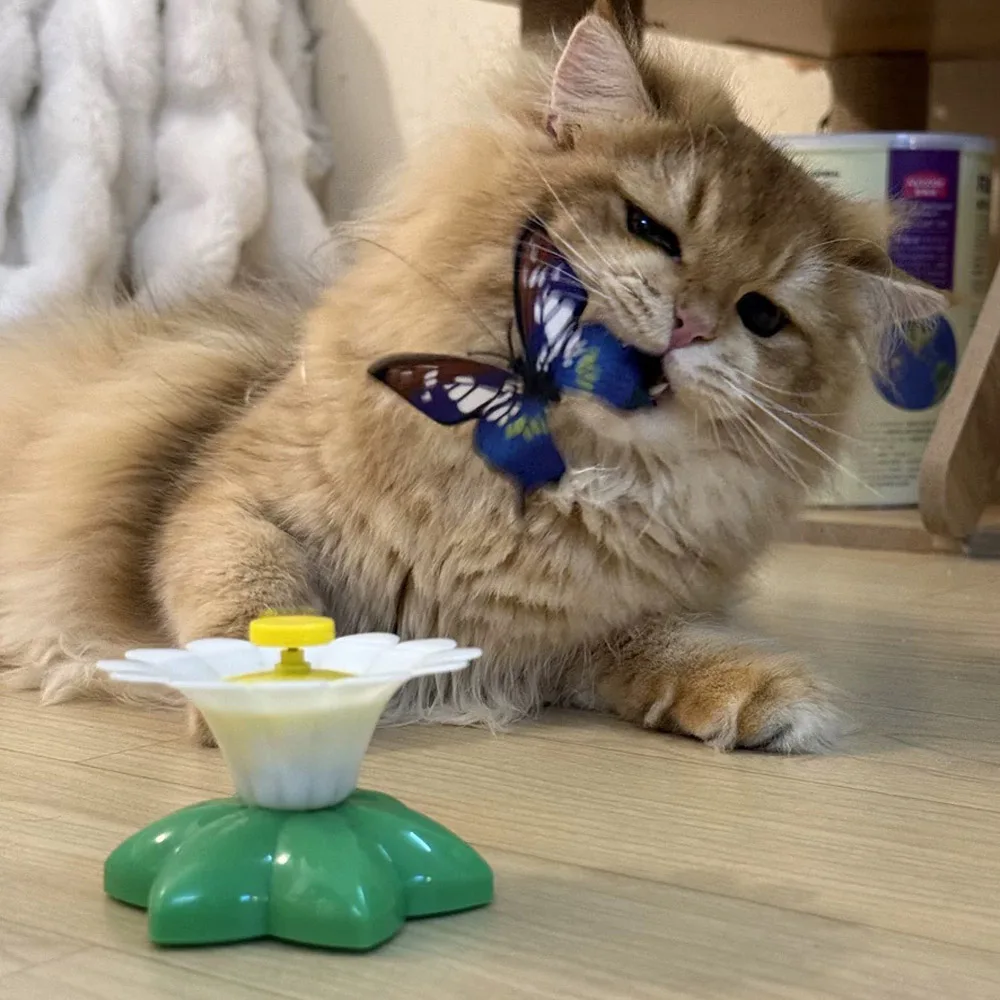 Brinquedo Elétrico para Gatos Borboleta Giratória de Plástico com Rotação Automática - Image 3