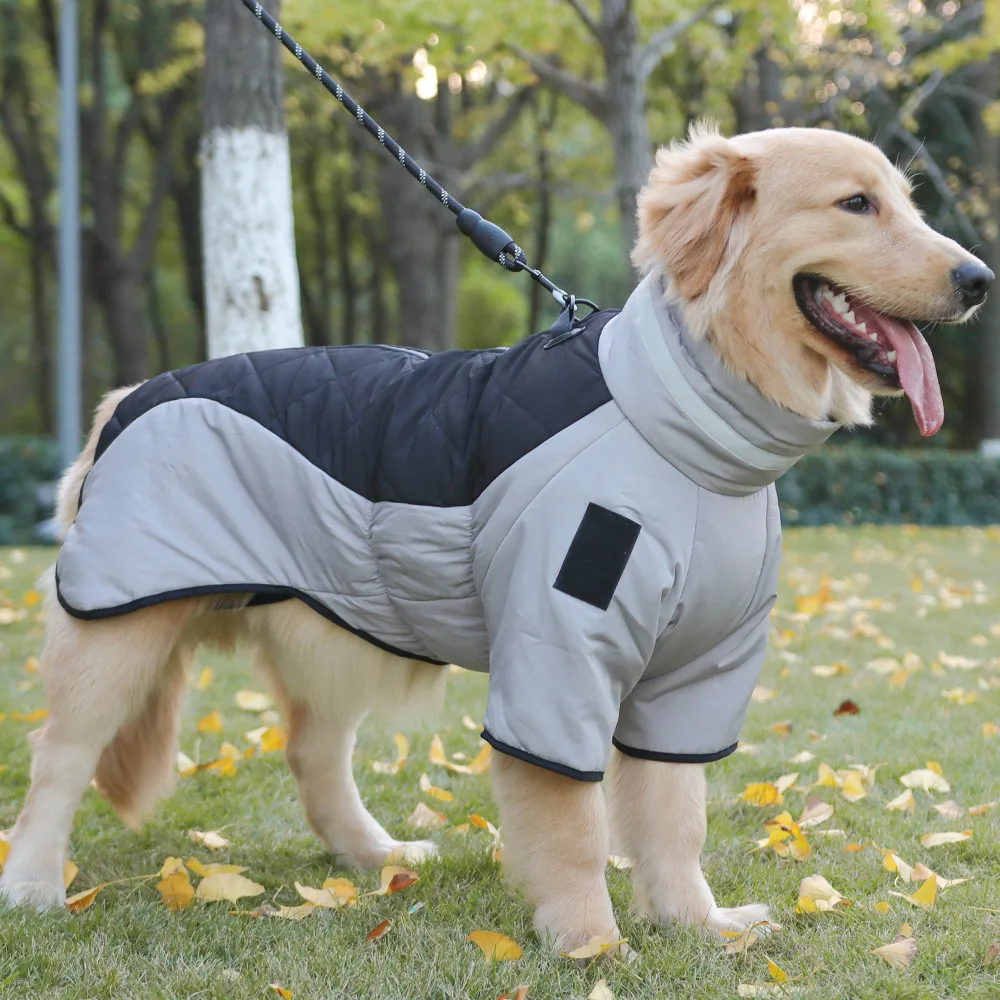 Macacão Impermeável para Cães Grandes de Algodão Quente - Image 5