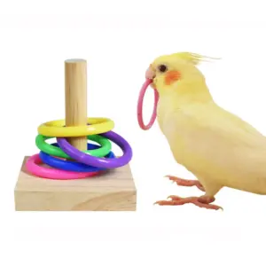 brinquedo educativo para pássaros