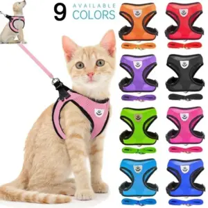 colete para cães e gatos com guia