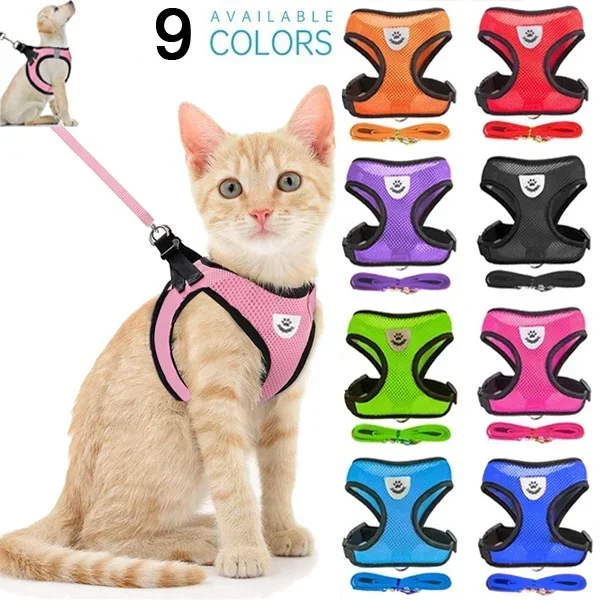 colete para cães e gatos com guia