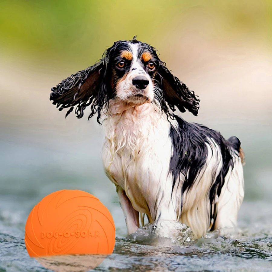 Brinquedo Disco Voador para Cães Grandes TPR Macio e Fácil de Lançar - Imagem 4