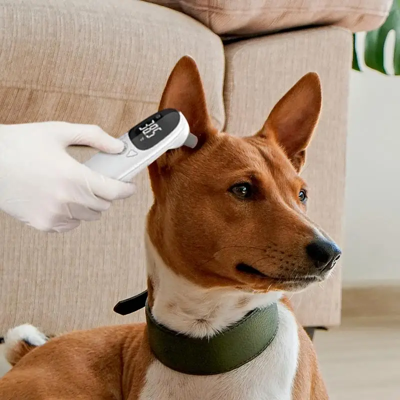 Termômetro Digital para Pets sem Contato para Cães e Gatos - Imagem 3