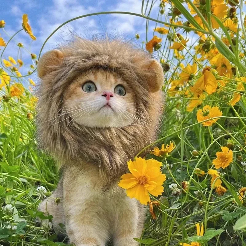 Chapéu de Leão para Gatos com Arnês Elástico - Imagem 3