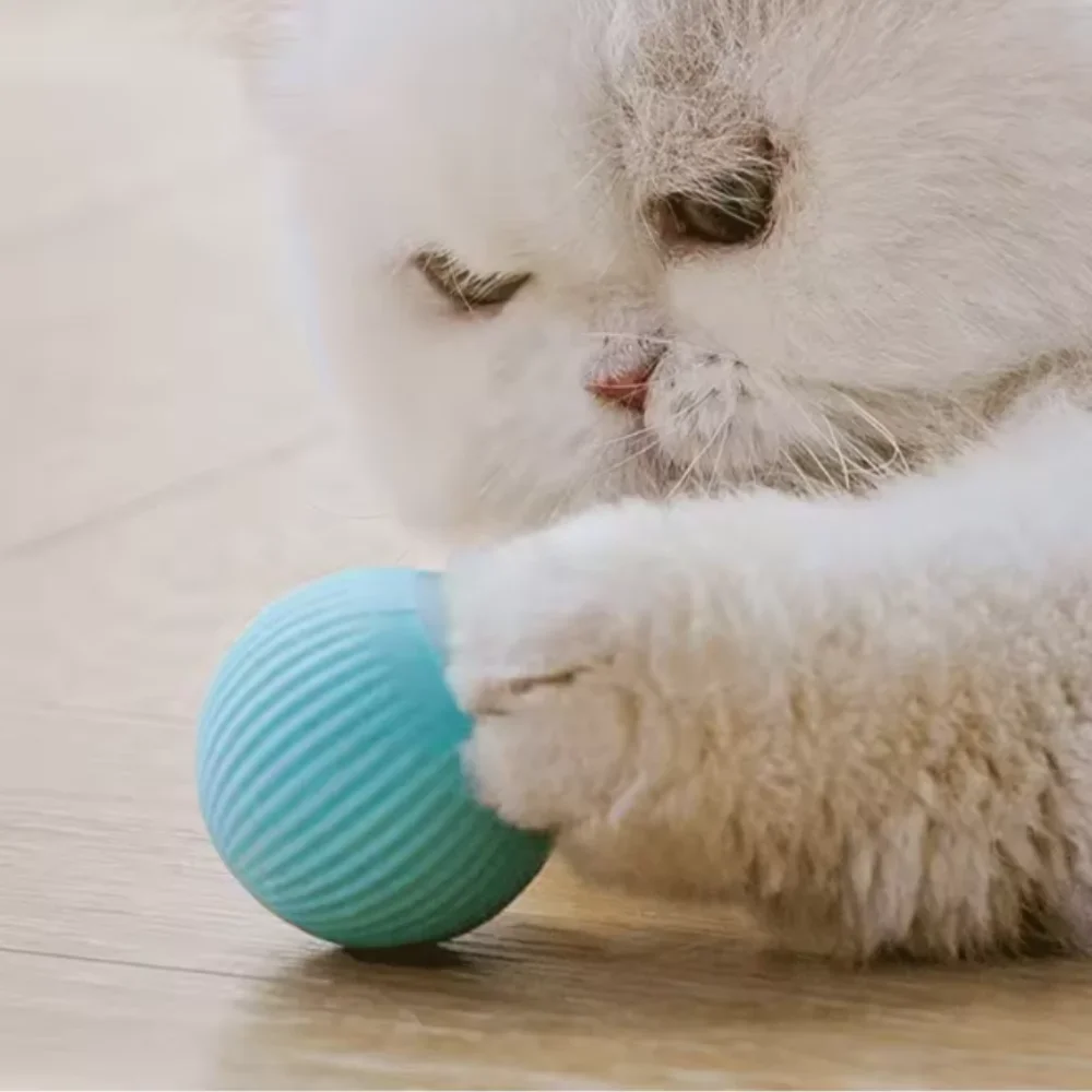 Bola Elétrica para Gatos com Rolamento Automático para Brincar - Imagem 3