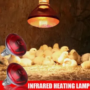 lâmpada de aquecimento para aves E27